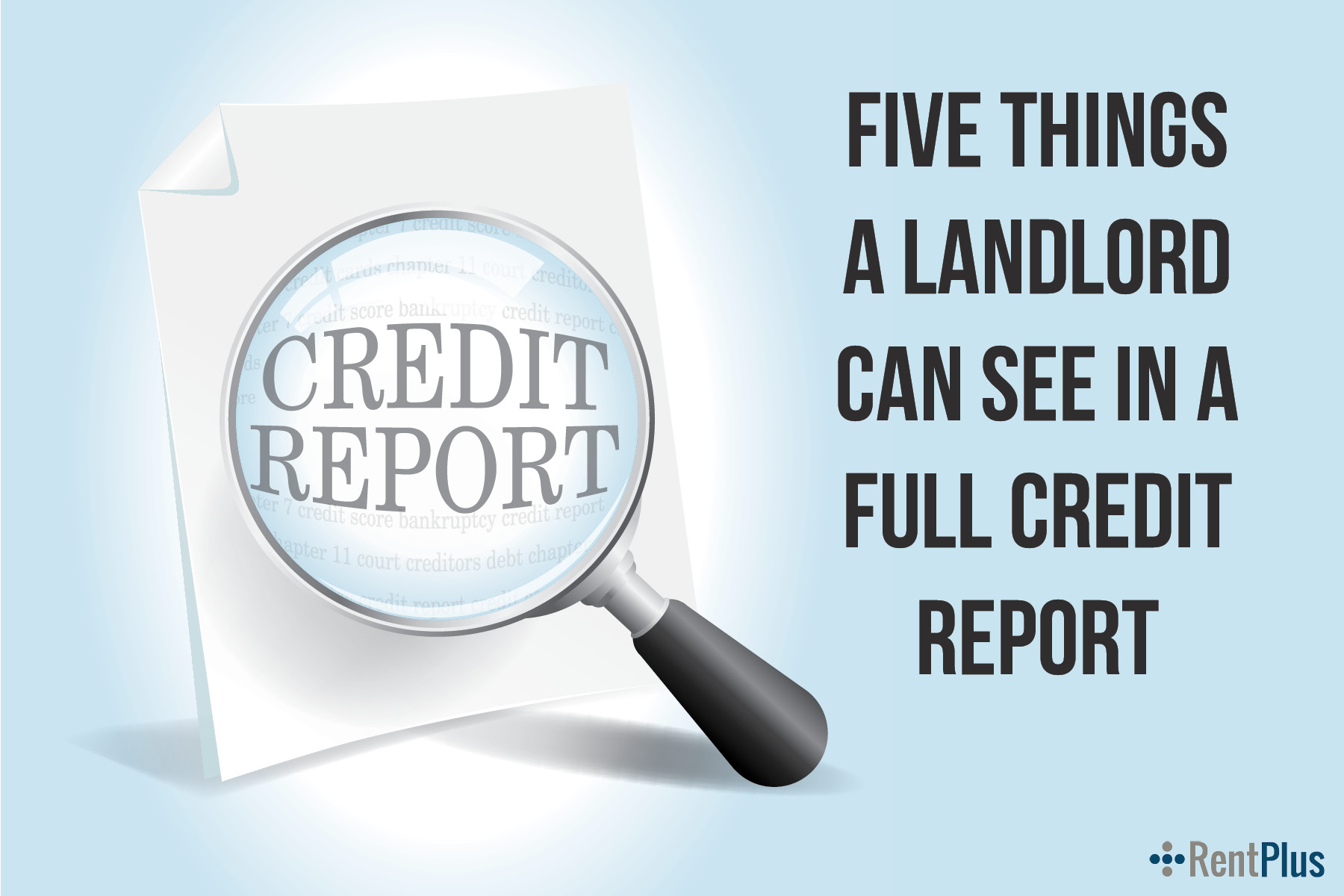 Five Things A Landlord Can See In A Full Credit Report Rent Plus