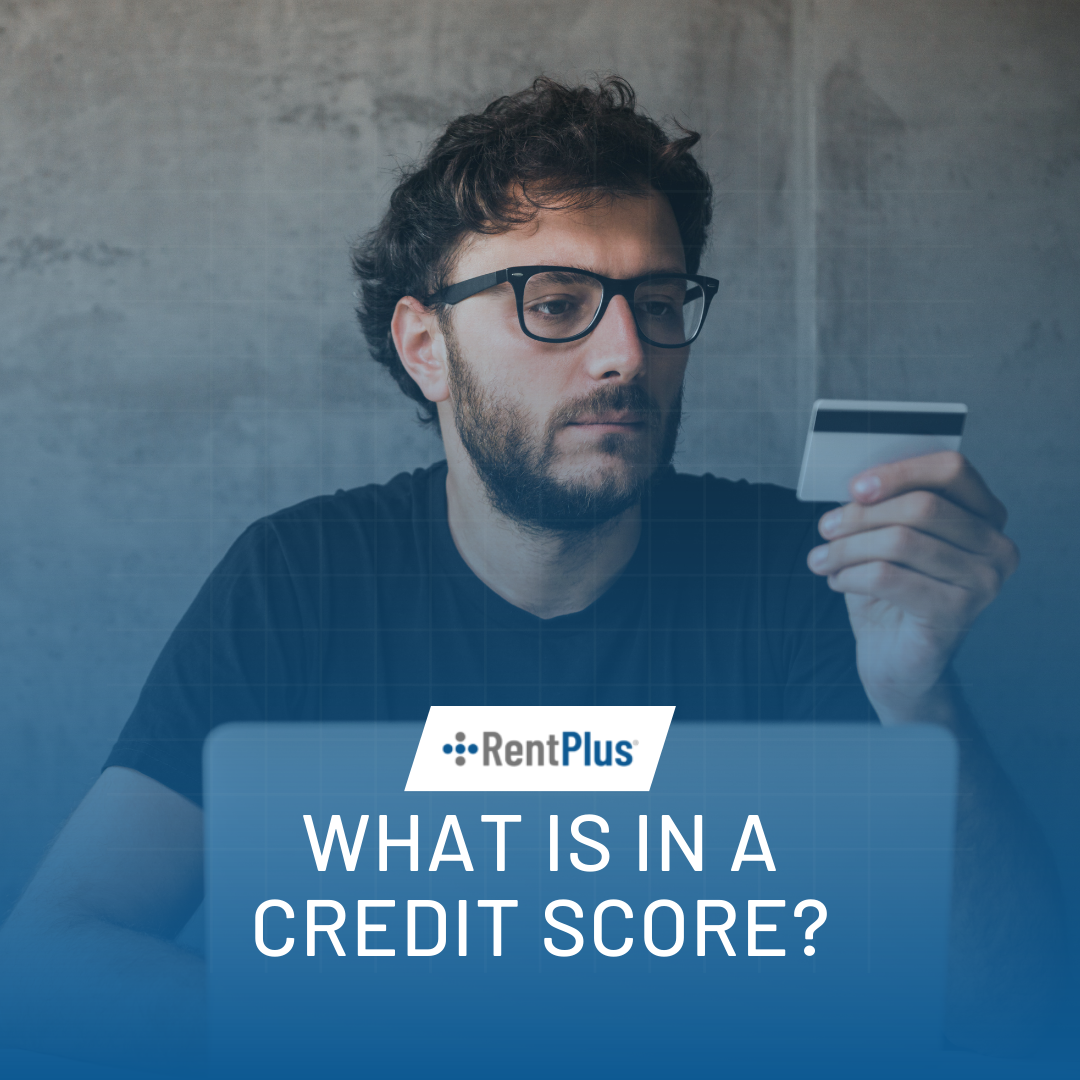 What is in a credit score?